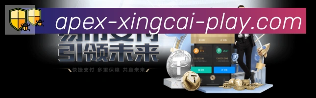 未来规划